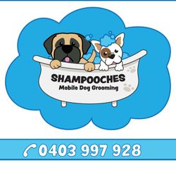 Shampooches Mobile Salon, Mobile service, 2112, Ryde