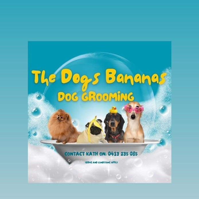 The Dogs bananas dog grooming, 113 Ewen St, Unit 2, 6018, Perth