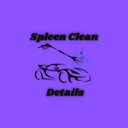 Spleen Clean Details, 11845 81 Ave, V4C 7H7, Delta