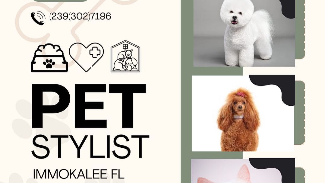 Pet grooming hot sale places nearby