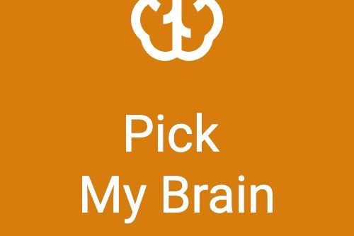 Pick My Brain portfolio