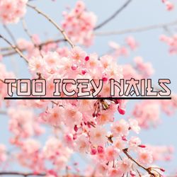 Too Icey Nails, 505 S Arlington Ave, Unit B2, Unit B2, Reno, 89509