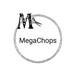 MegaChops, 4770 State Hwy 121, Suite 28, 28, Lewisville, 75056