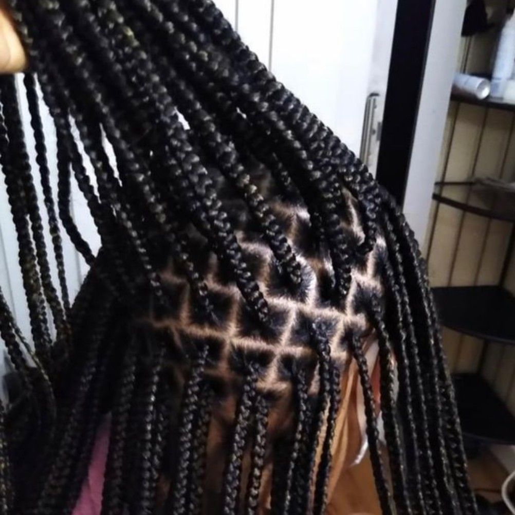 Odelisa's Hair Braiding, 8827 Auburn Whisper Ln, Charlotte, 28227