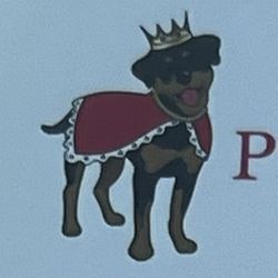 Prince Pet Spa, 5526 W Old US-90, San Antonio, 78227