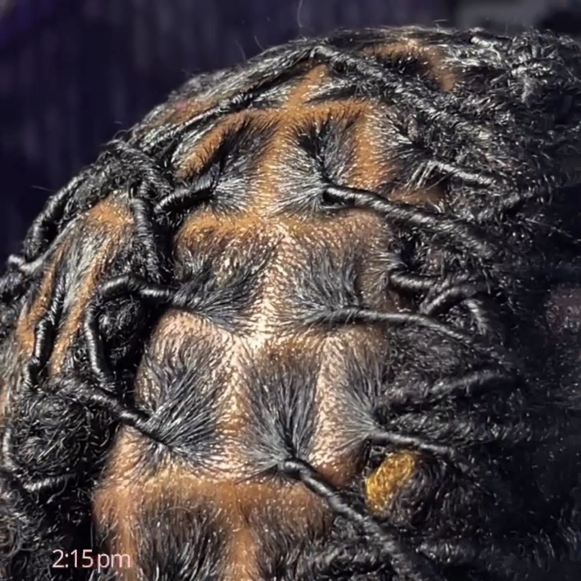 Loc’d in by Chanel, 108 W Camp Wisdom Rd, Duncanville, 75116