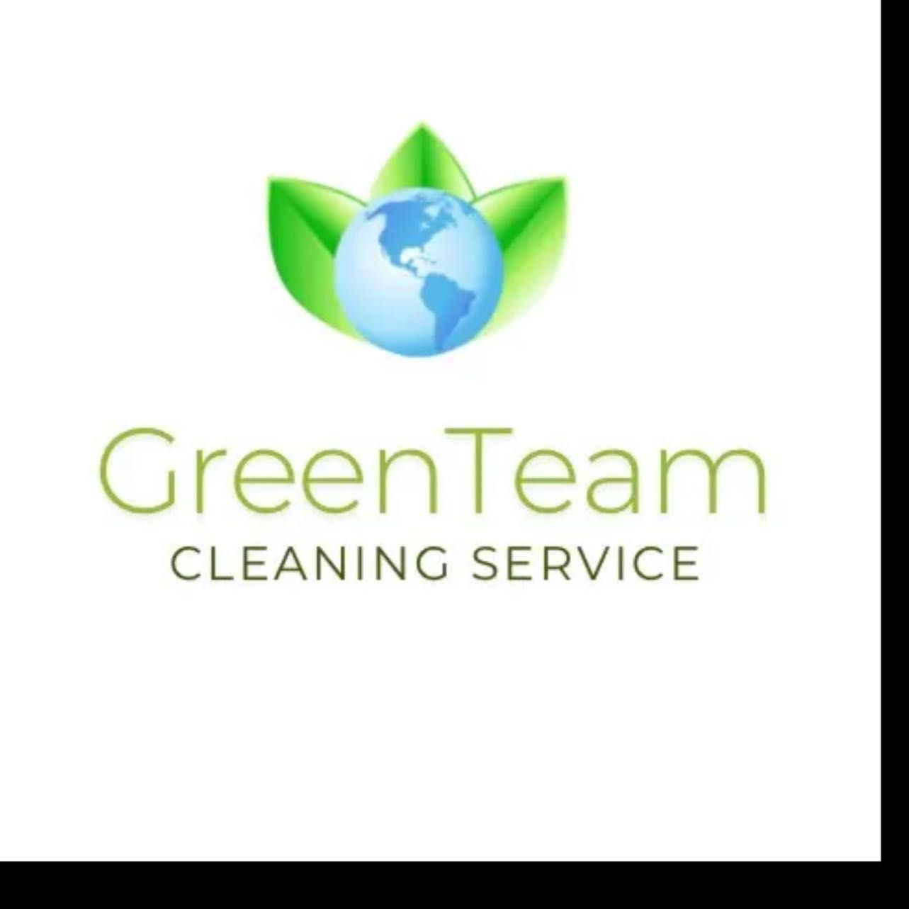 Green Team Carpet Cleaning, N York Rd, Elmhurst, 60126