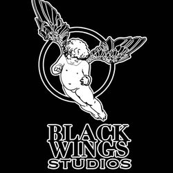 Black Wings Studios, 890 Wyckoff Ave, Brooklyn, 11237