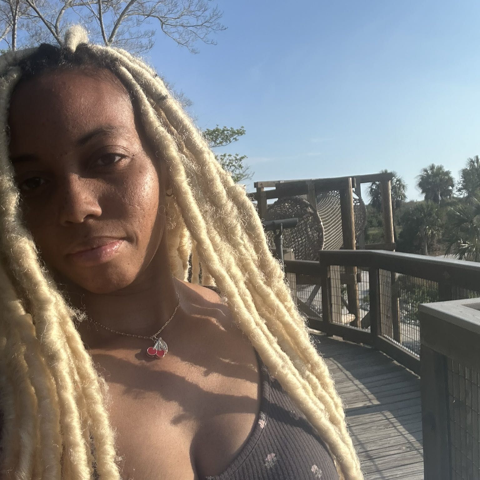 Sunflower Locs by Sequoia, Address given after appointment and deposit, 102, Palmetto, 34221