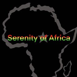 Serenity of Africa Styles, 1035 Coffeen St, B, Watertown, 13601