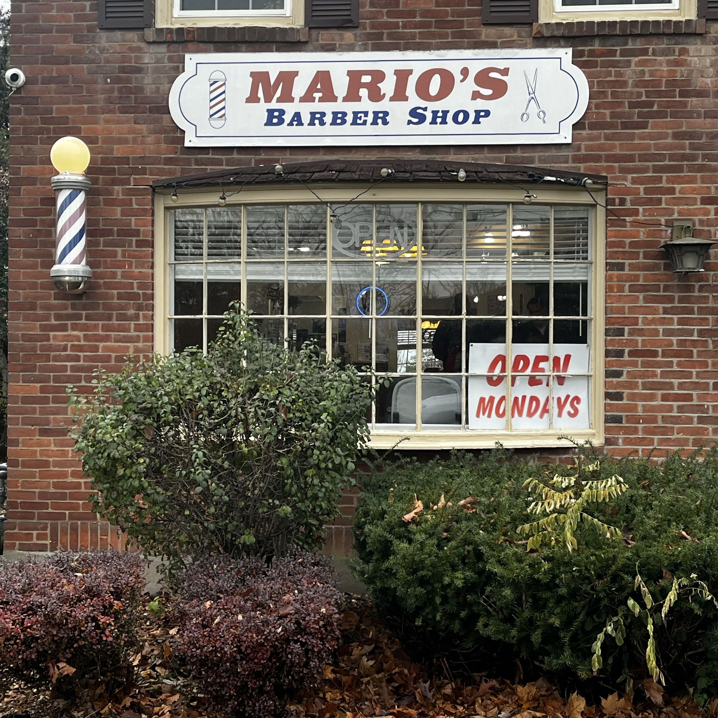 American Beard and Body LLC @ Marios In Niskayuna, NY, 1521 Ball Town Rd, Niskayuna, 12309