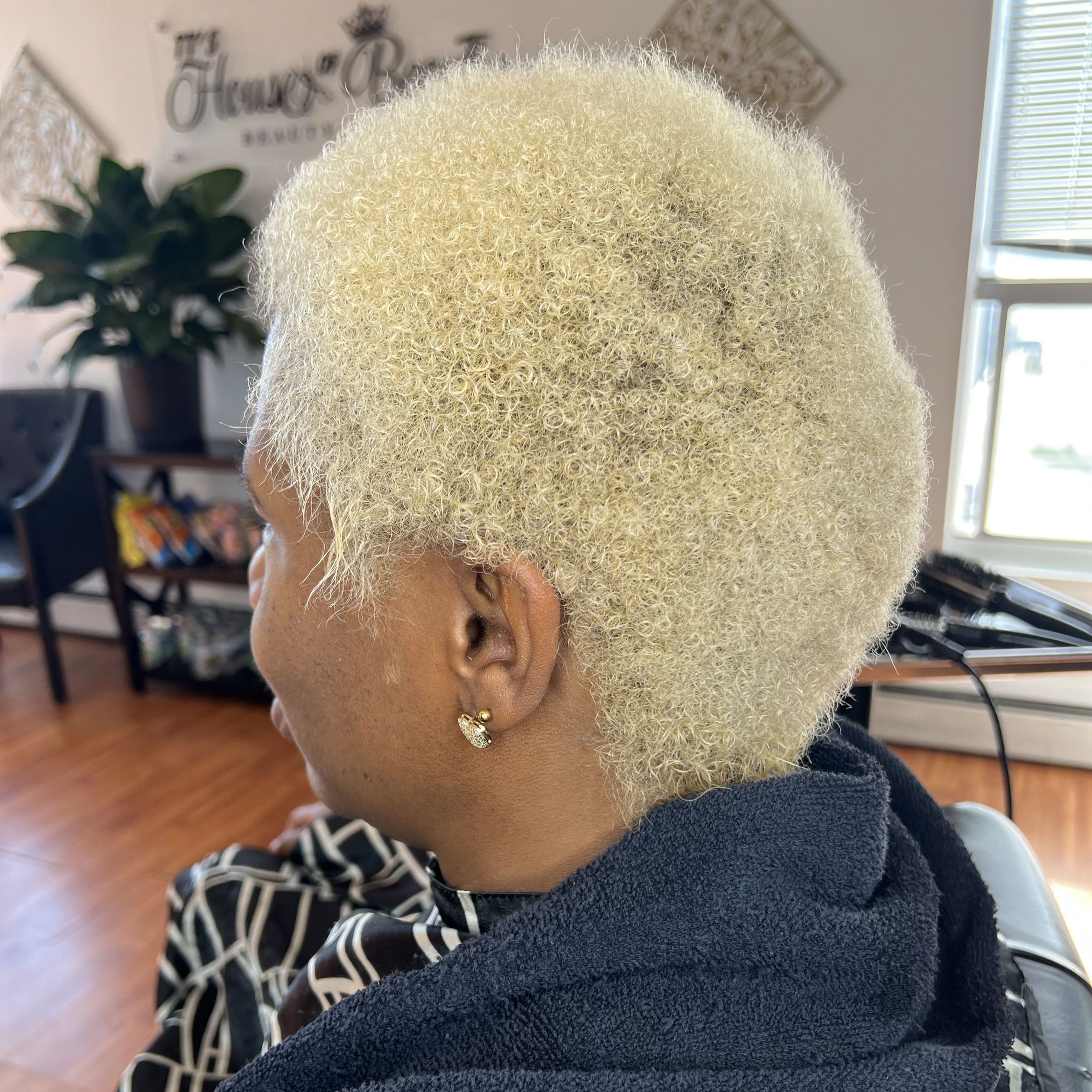 Natural hair pixie cut and style portfolio