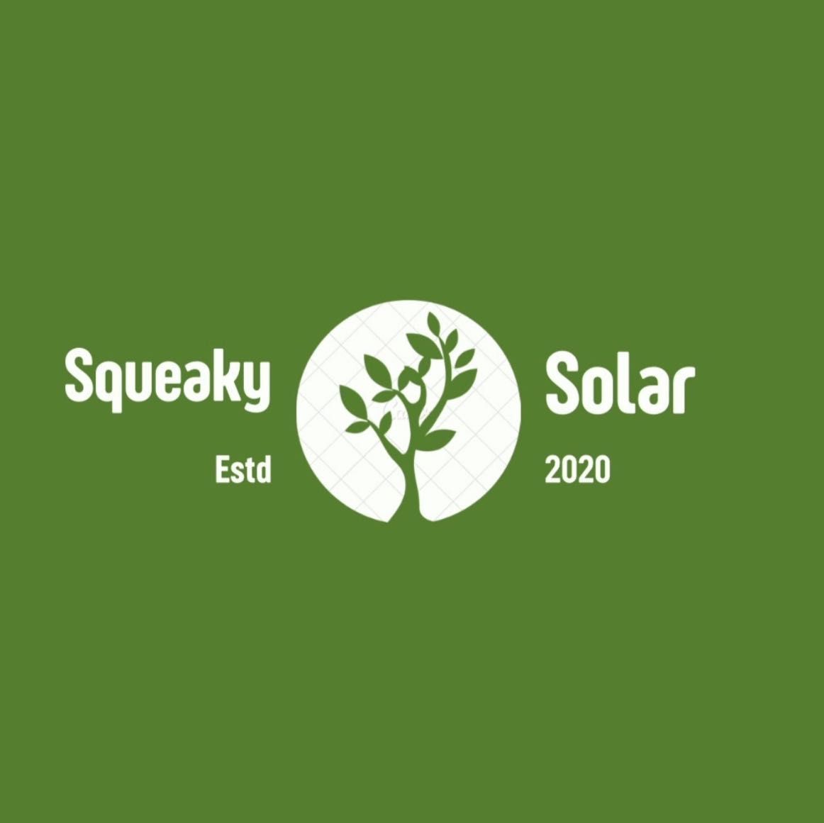 Squeaky Clean Solar, 314 Borada Rd, Sanford, 32773