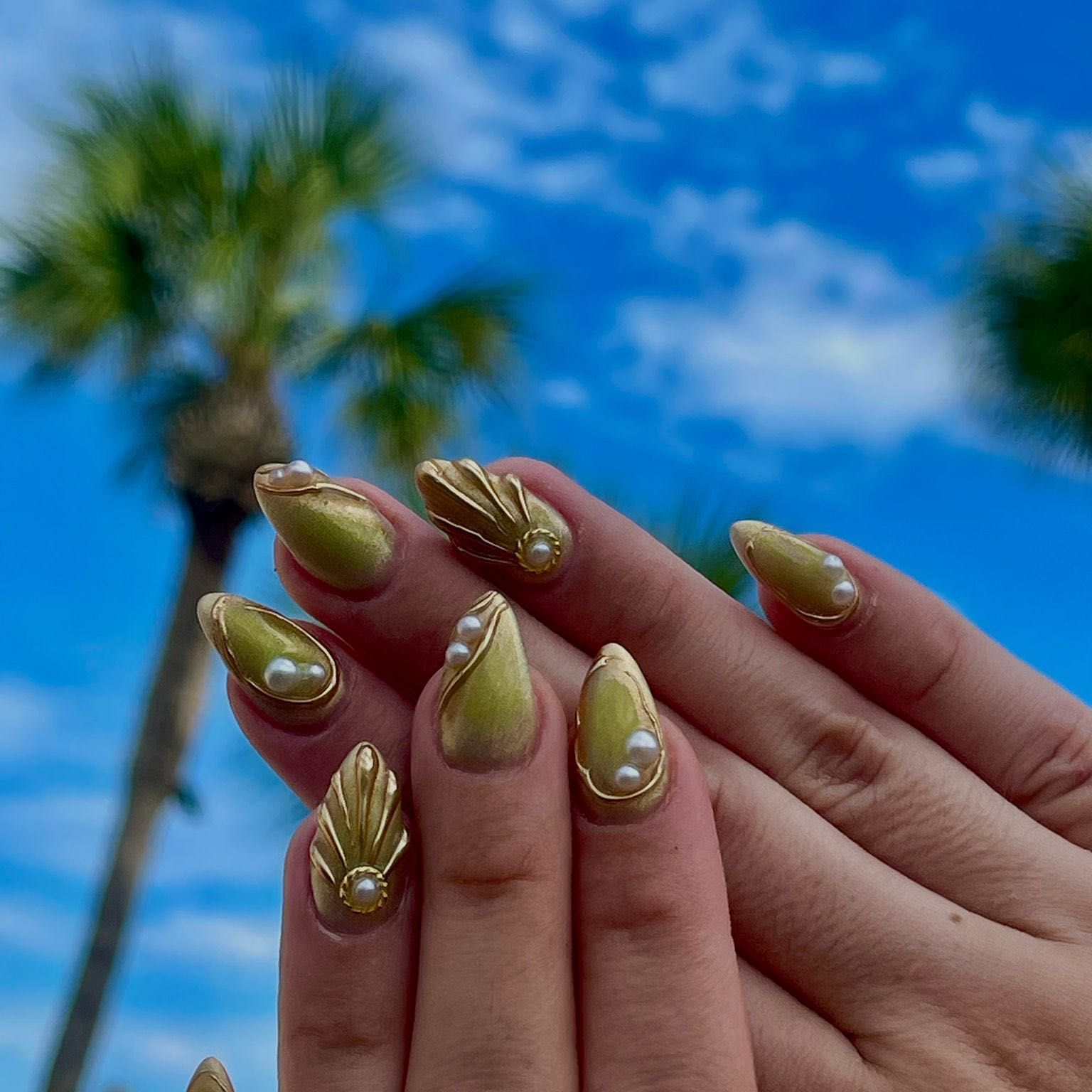 Nails Aris.g, 300 Summer Breeze Way, St Augustine, 32086