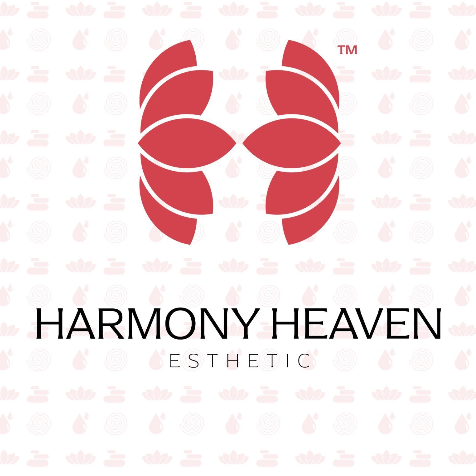 Harmony Heaven Esthetic, Urb. Santa Juanita Ave. Hostos, WK-1, Slay Beauty Studio, Bayamón, 00956