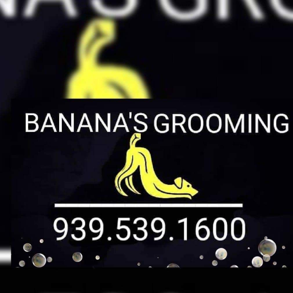Banana Grooming, Calle Parque Hermoso, 5887, Carolina, 00983