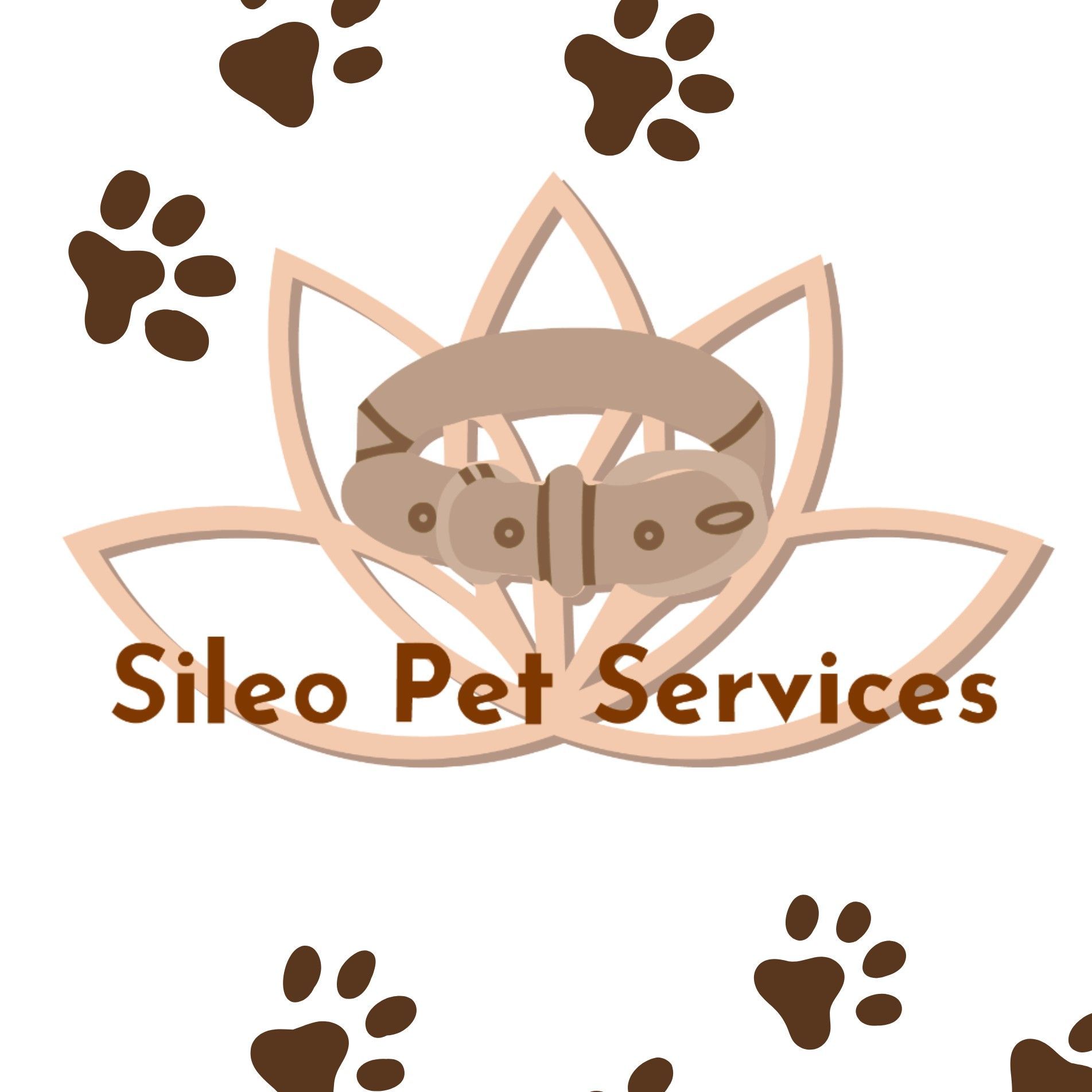 Sileo Pet Services, Westampton Twp, 08060