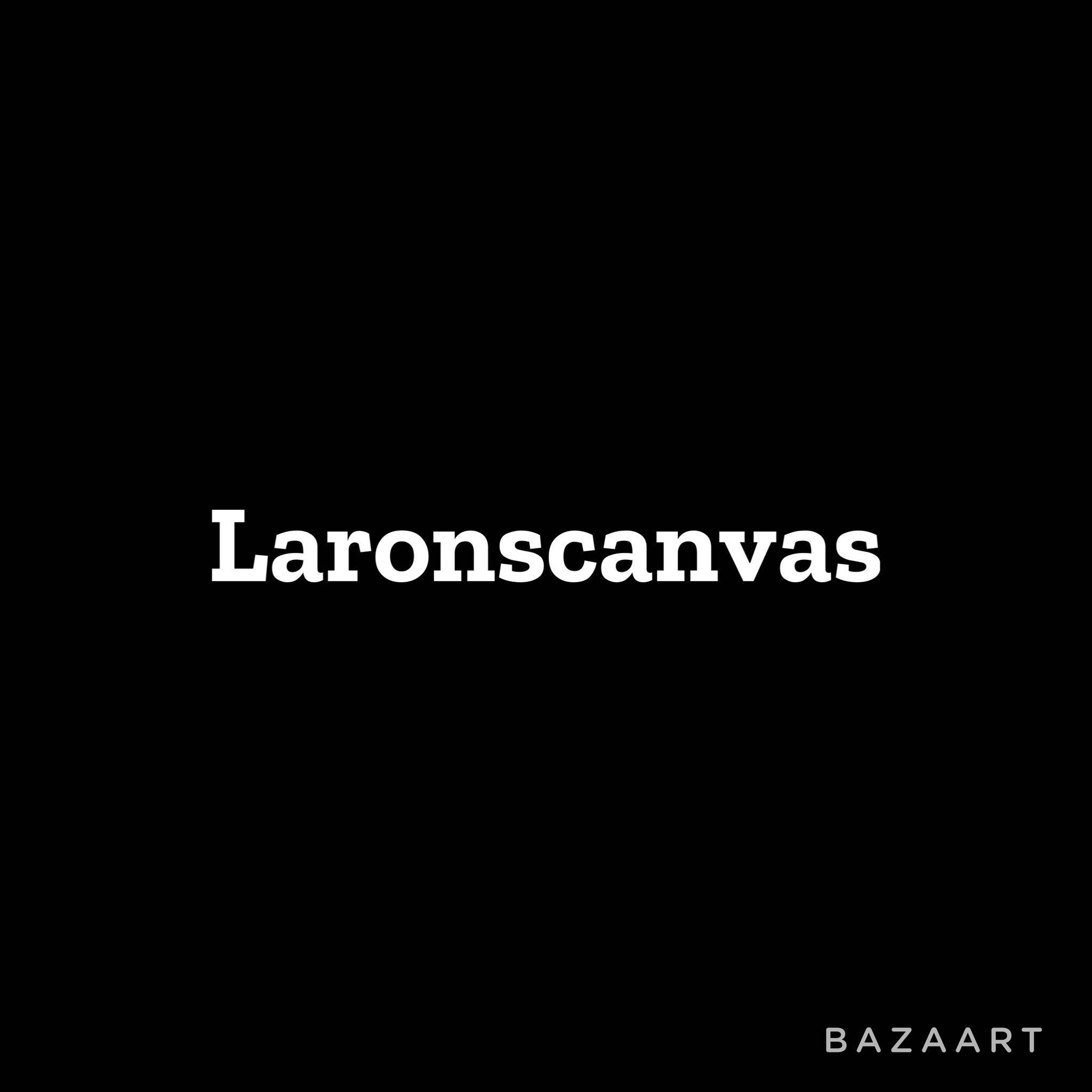 Laronscanvas, 5828 w Appleton Ave, Milwaukee, 53210