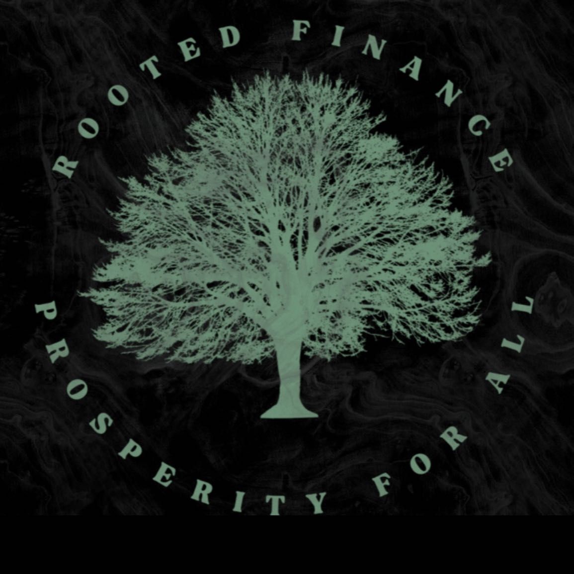 Rooted Finance, 17802 I-10 UNIT 114, San Antonio, 78257