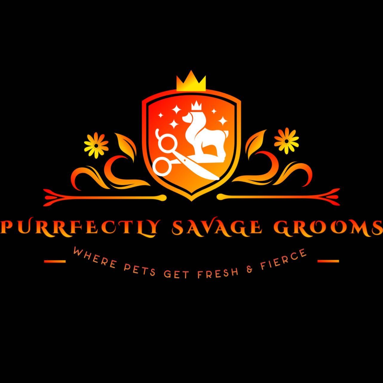 Purrfectly Savage Grooms, 1173 St Tropez Ct, Kissimmee, 34759