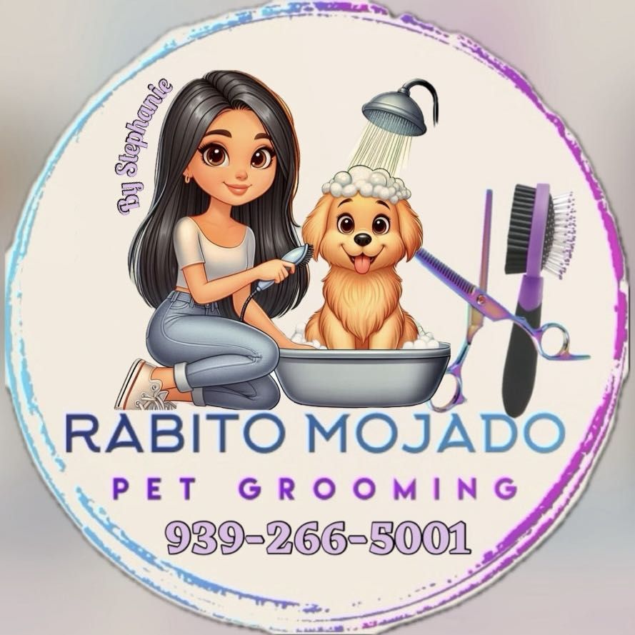 Rabito Mojado Pet Grooming, G86 Calle 7, G75-1, Camuy, 00627