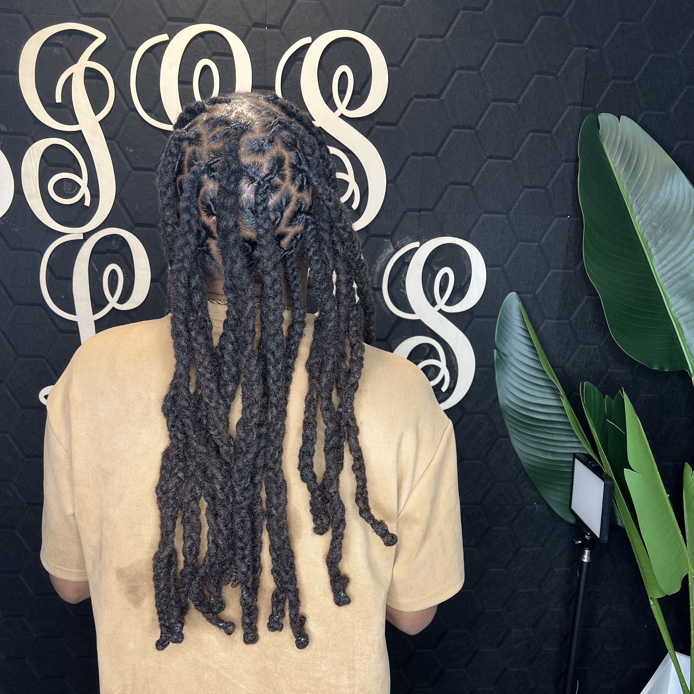 zigs locs, 113 Florence st, Roslindale, Mattapan 02126