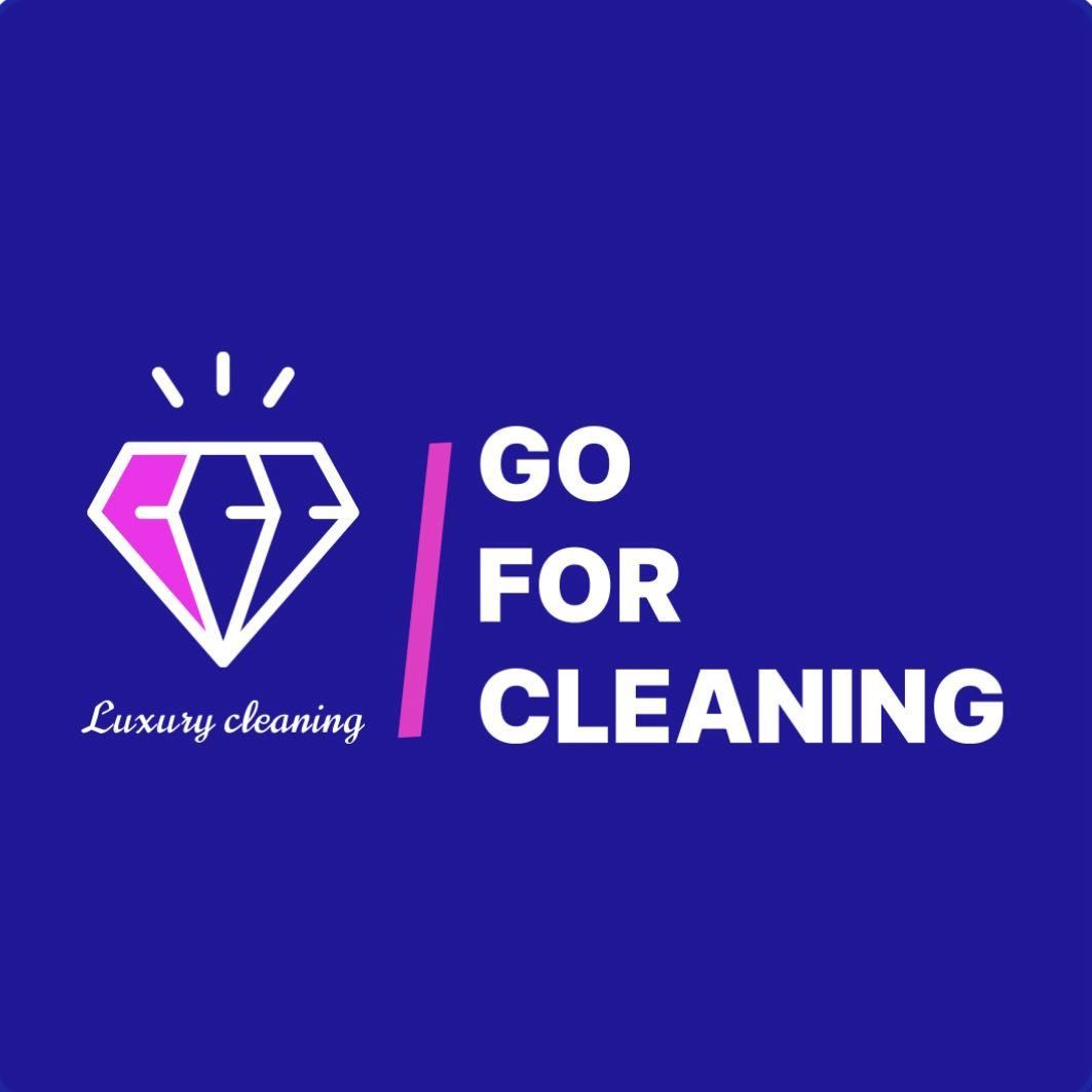 Go For Cleaning, 2612 Pillsbury Ave, Minneapolis, 55408