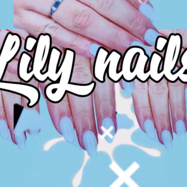 Lily nails, 270 SW 107th Ave, Miami, 33174