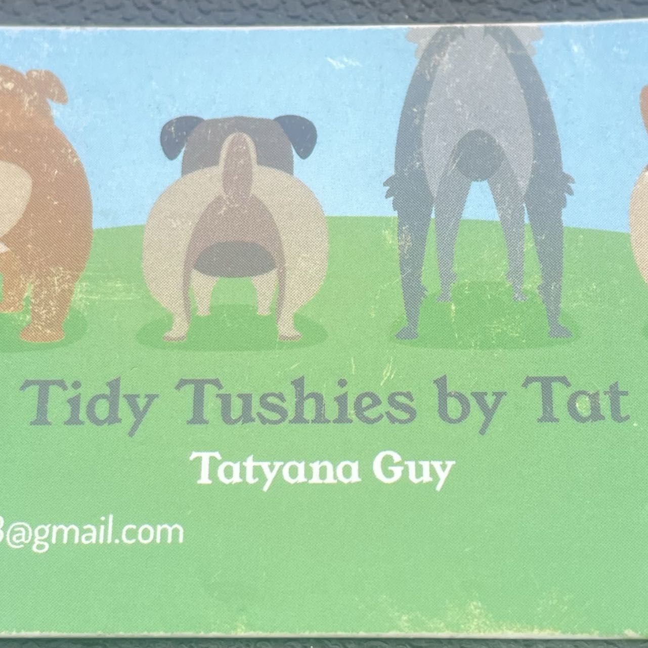 Tidy Tushies, S Campbell Ave, Tucson, 85706