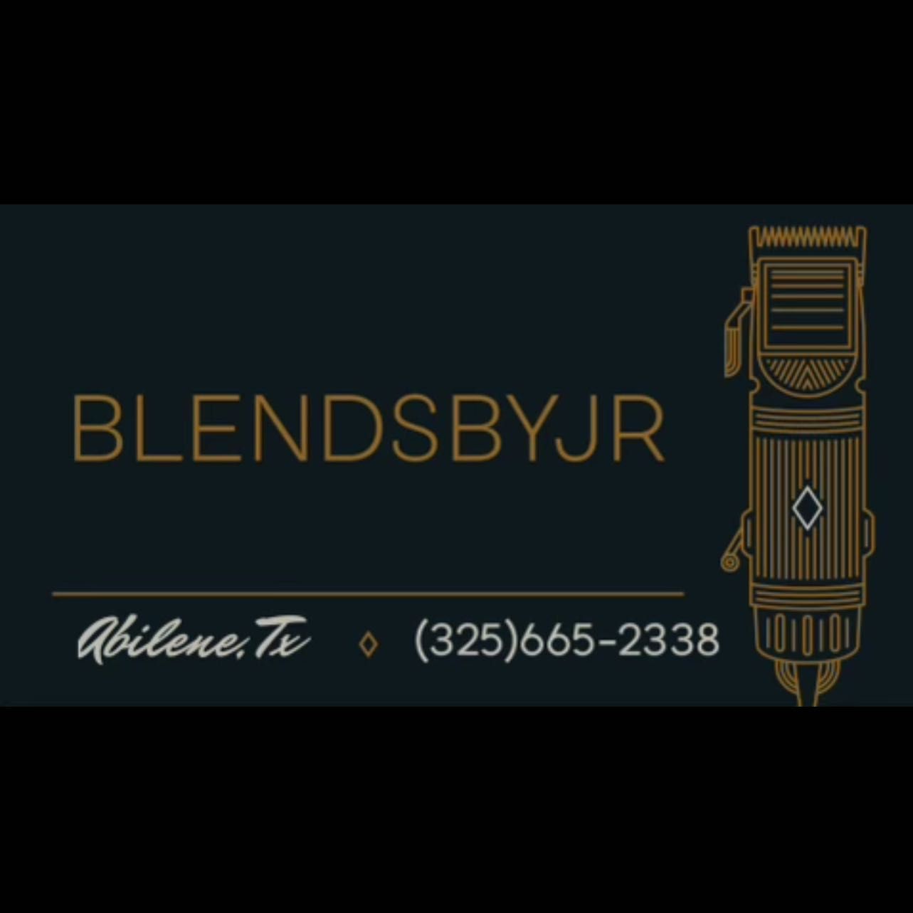 Blendsbyjr, 3129 S Danville Dr, Abilene, 79605