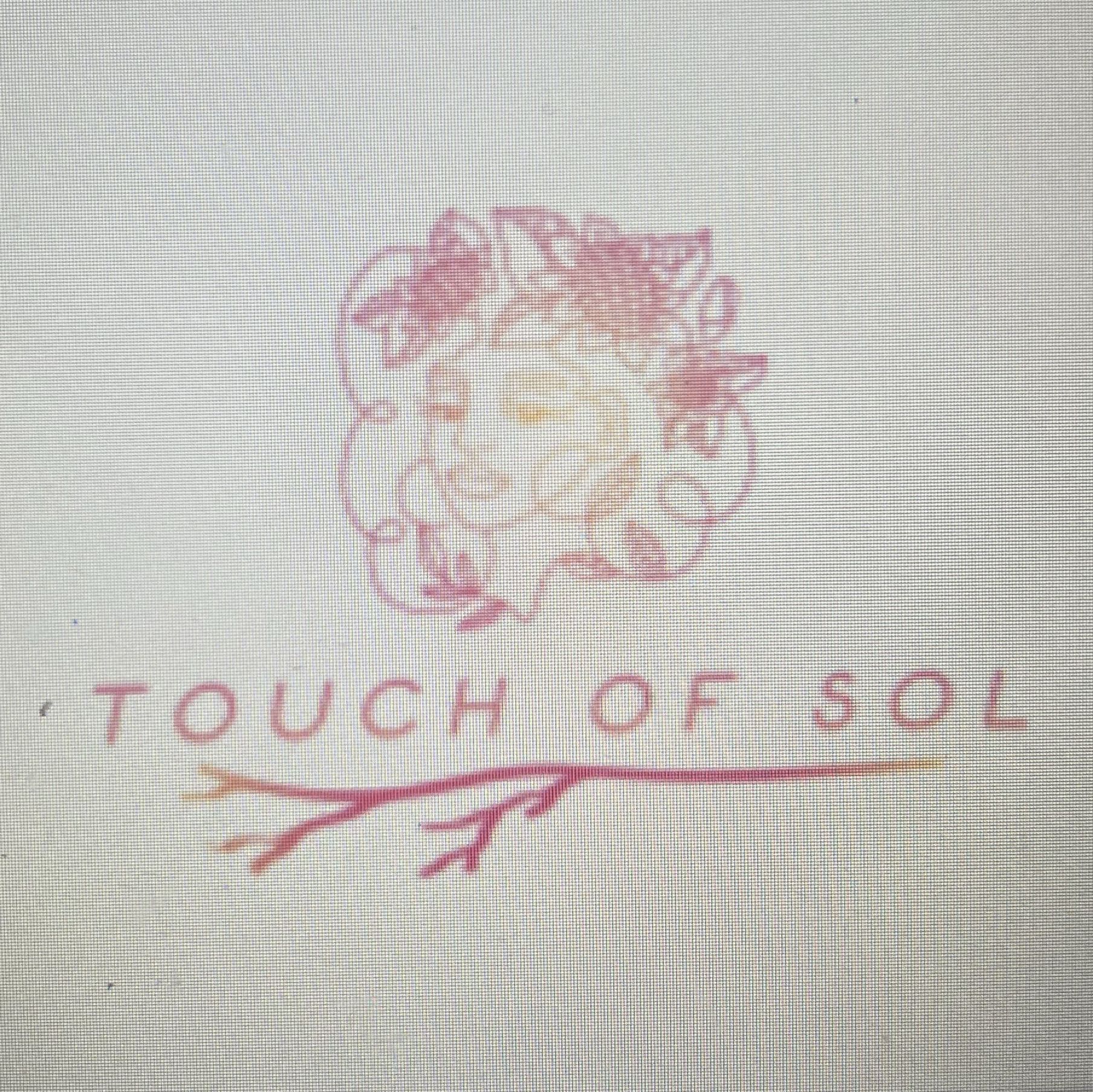 Touch of Sol, 213 Bainbridge St, Brooklyn, 11233