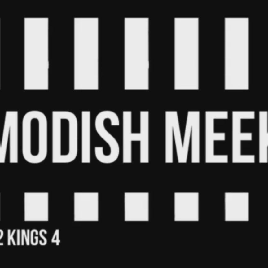 Modish Meek, LLC, 3 ward street, East Hartford, 06108