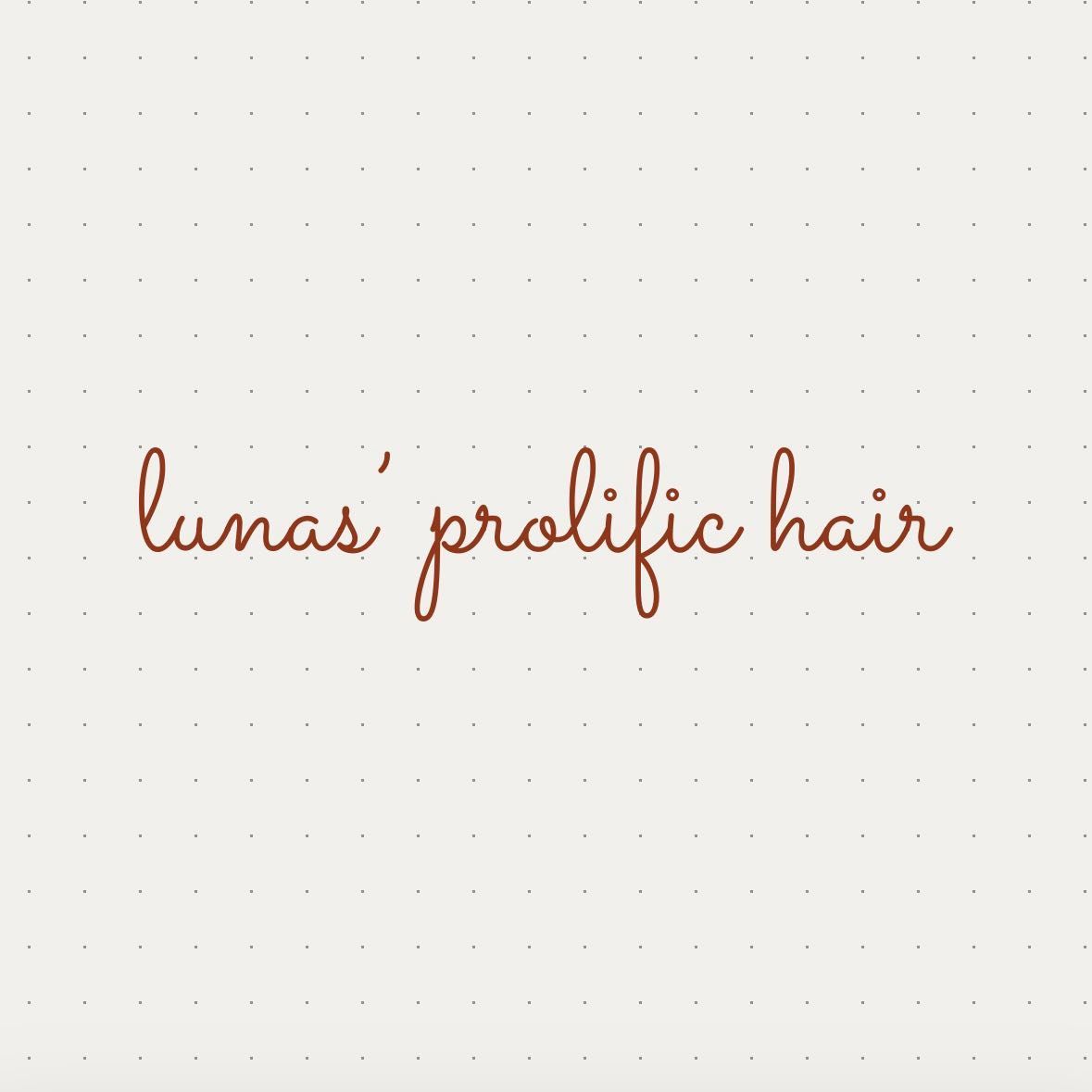 Luna Thee Hair Healer, 247 East 81st Apt 2A, New York, 10028