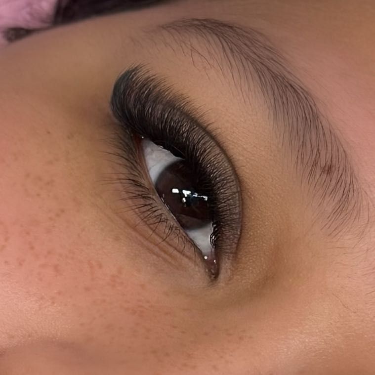 Alexa's lashes, 4021 w water ave, Suit 3D, Tampa, 33614