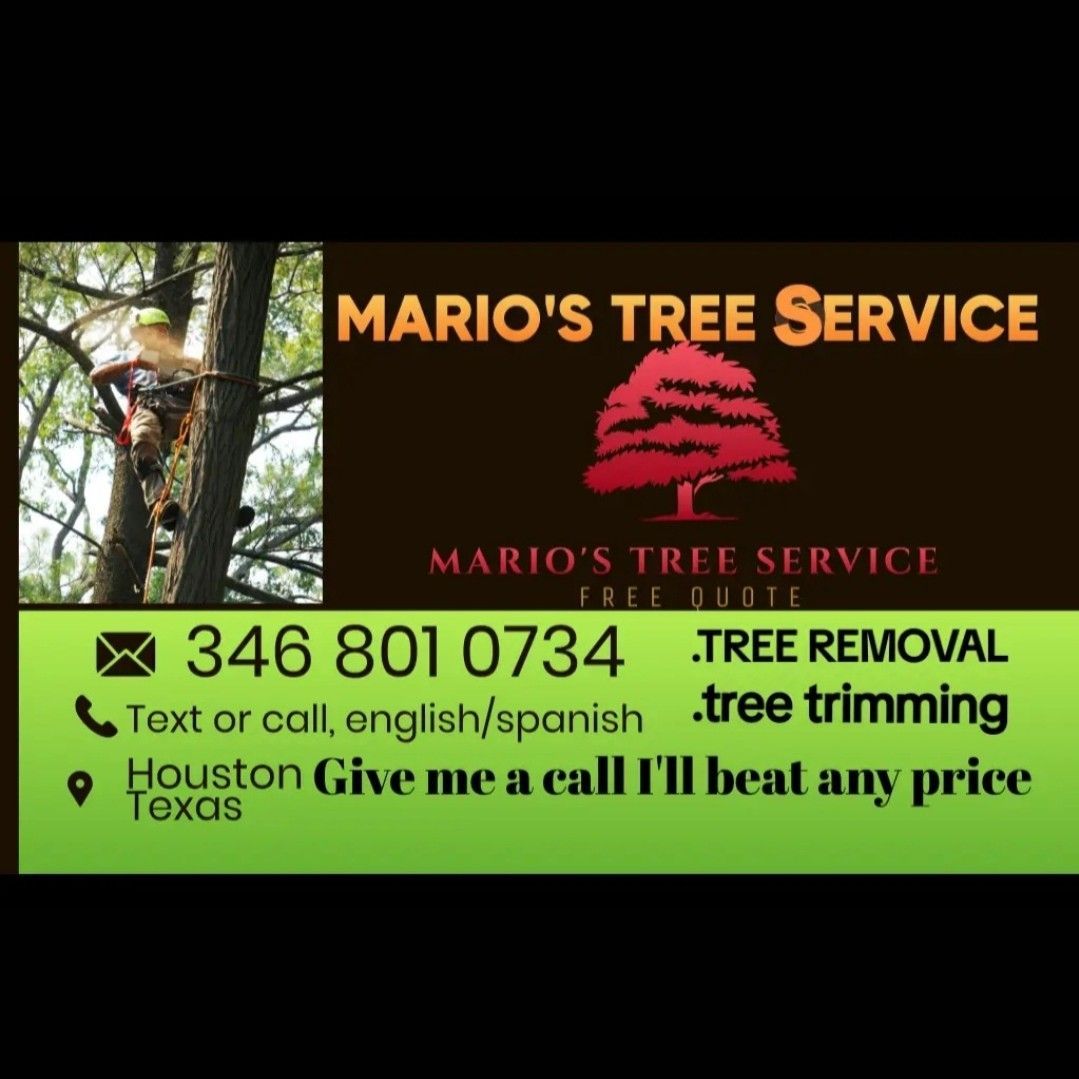 Mario's Tree Service, 1335 Silverado Dr, Houston, 77077