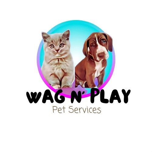 Wag N' Play Pet Services, 8421 Gibson Oaks Dr, Lakeland, 33809