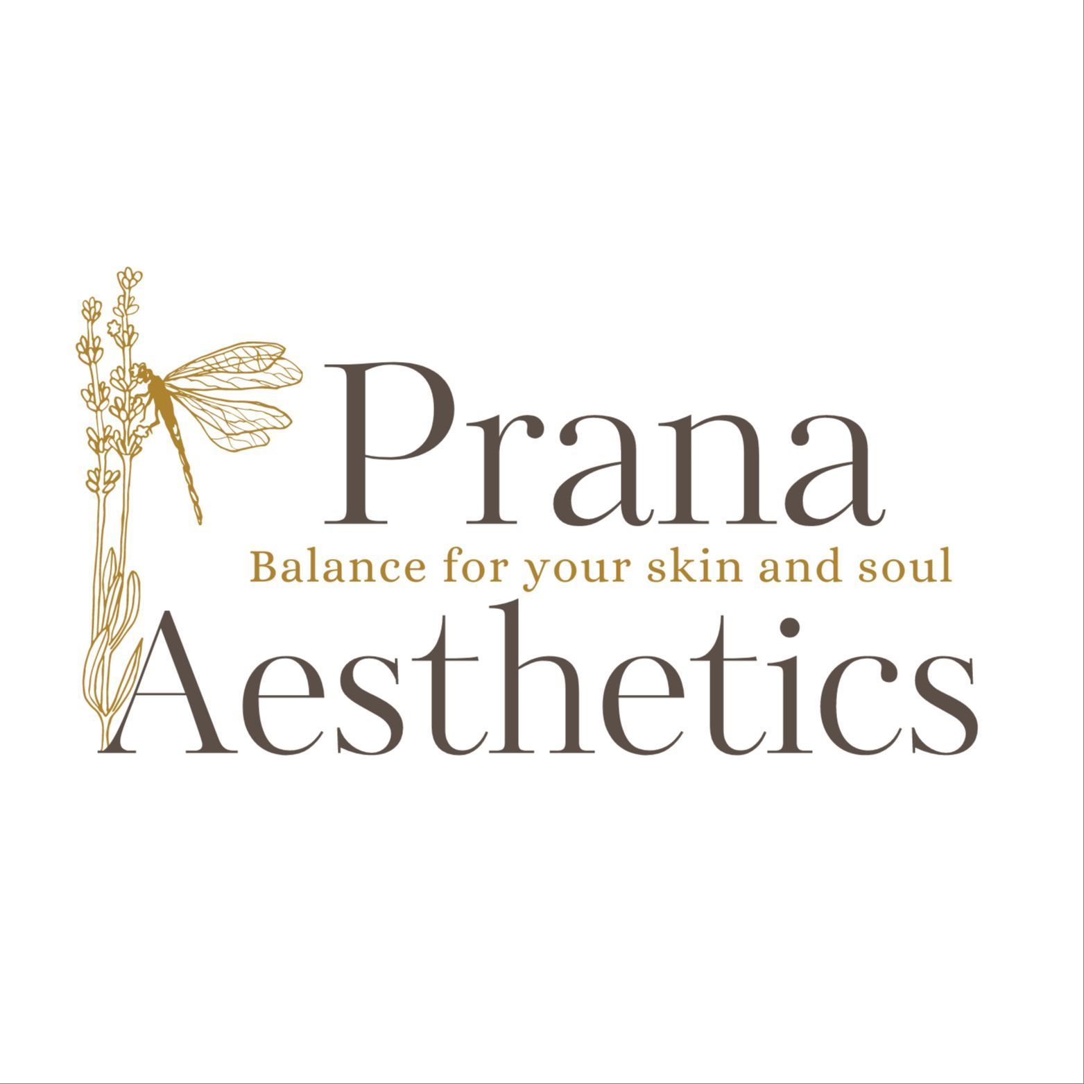 Prana Aesthetics, 4212 Maintree Ct, Fairfax, 22033