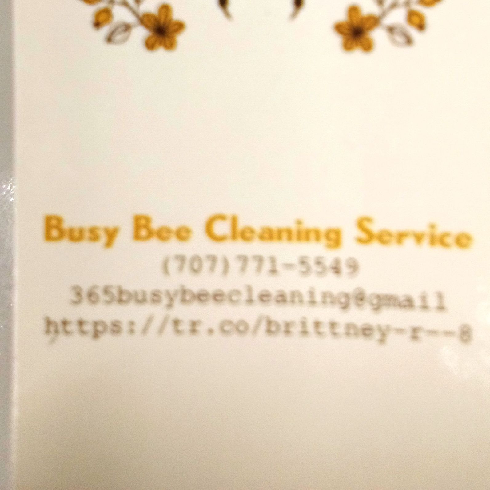 Busy Bee Cleaning Professionals, San Francisco, 94124