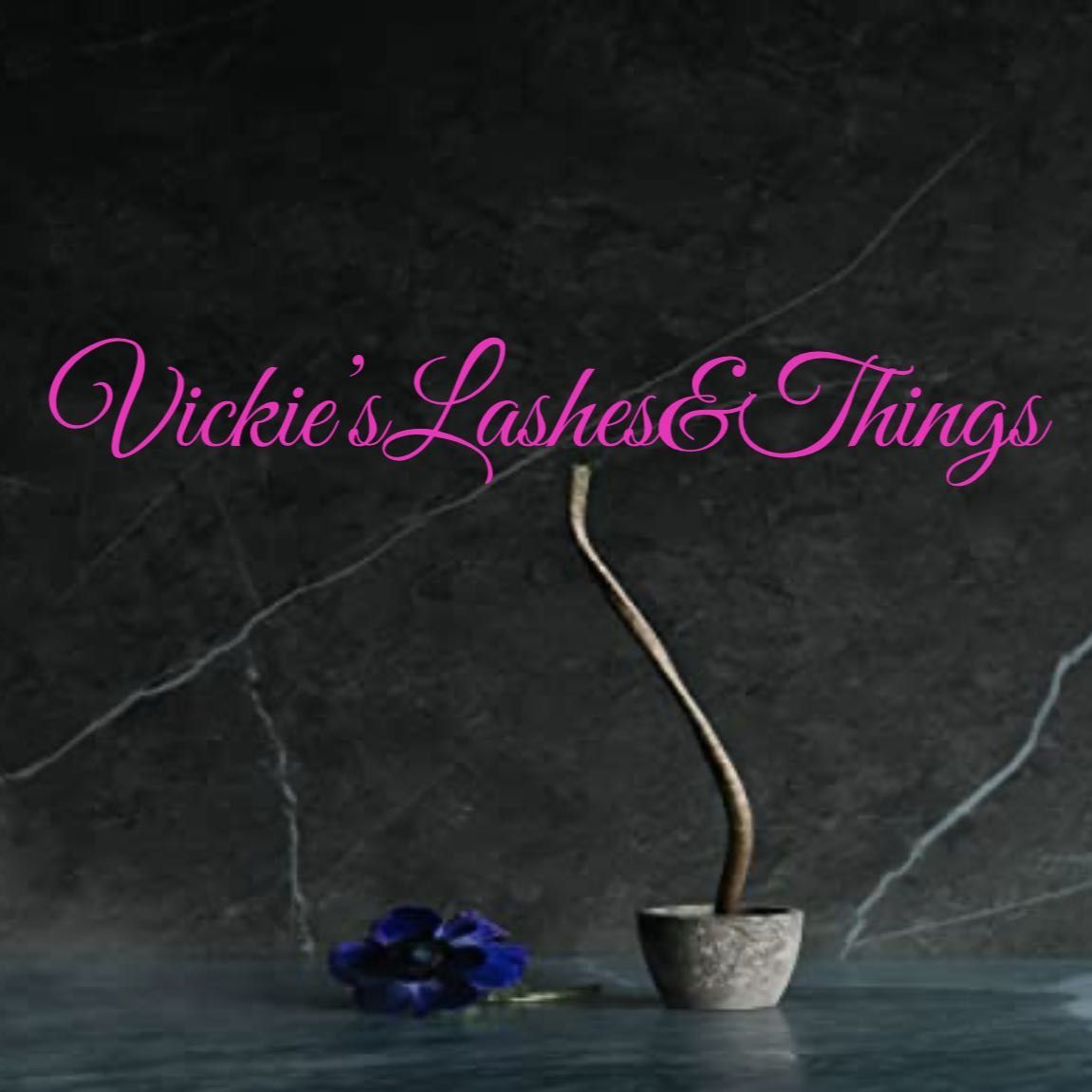 Vickie'sLashes&Things, 17305 McNichols Rd W, Detroit, 48235