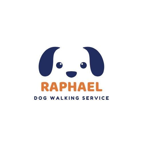 Raphael Professional Dog Walking Service, 400 N McClurg Ct, Chicago, 60611