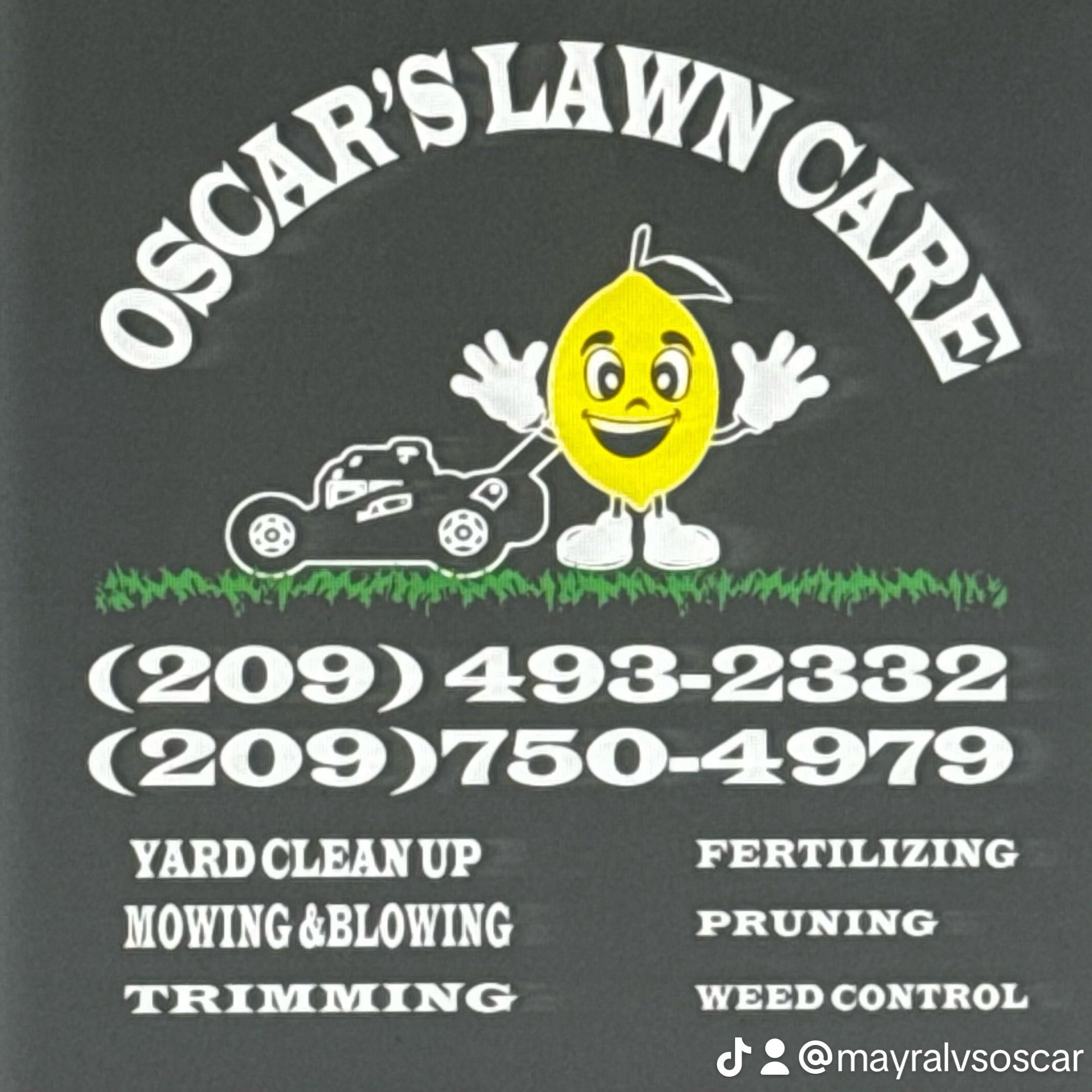 Oscar Lawn Care, 721 Larmuseau Ln, Modesto, 95351