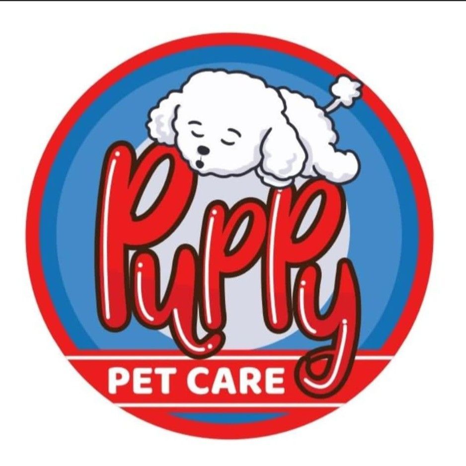 puppy Pet care, 701 Broadway, 2nd floor, Revere, 02150