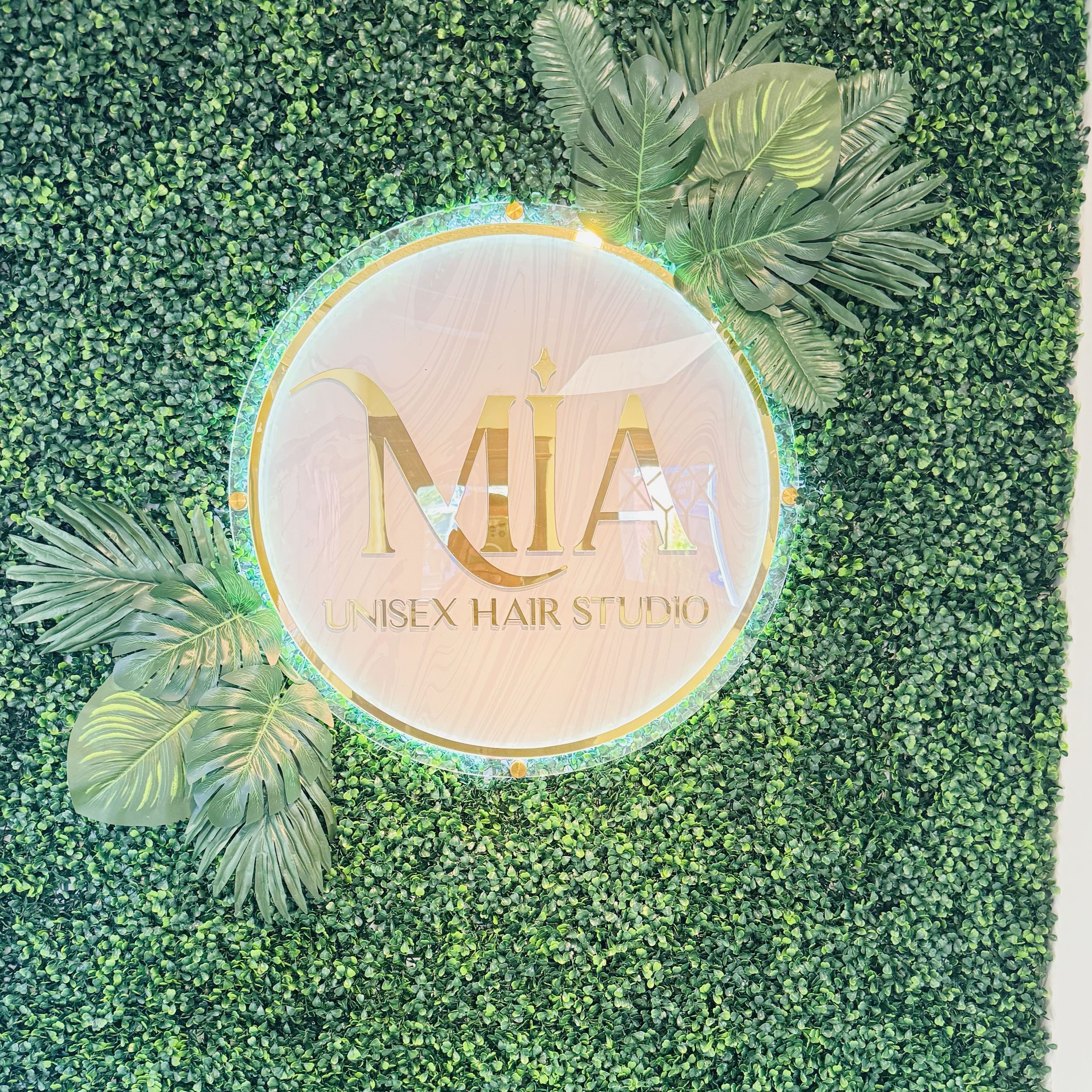 Mia Unisex Hair Studio, 17 Oakwood Ave, West Hartford, 06119