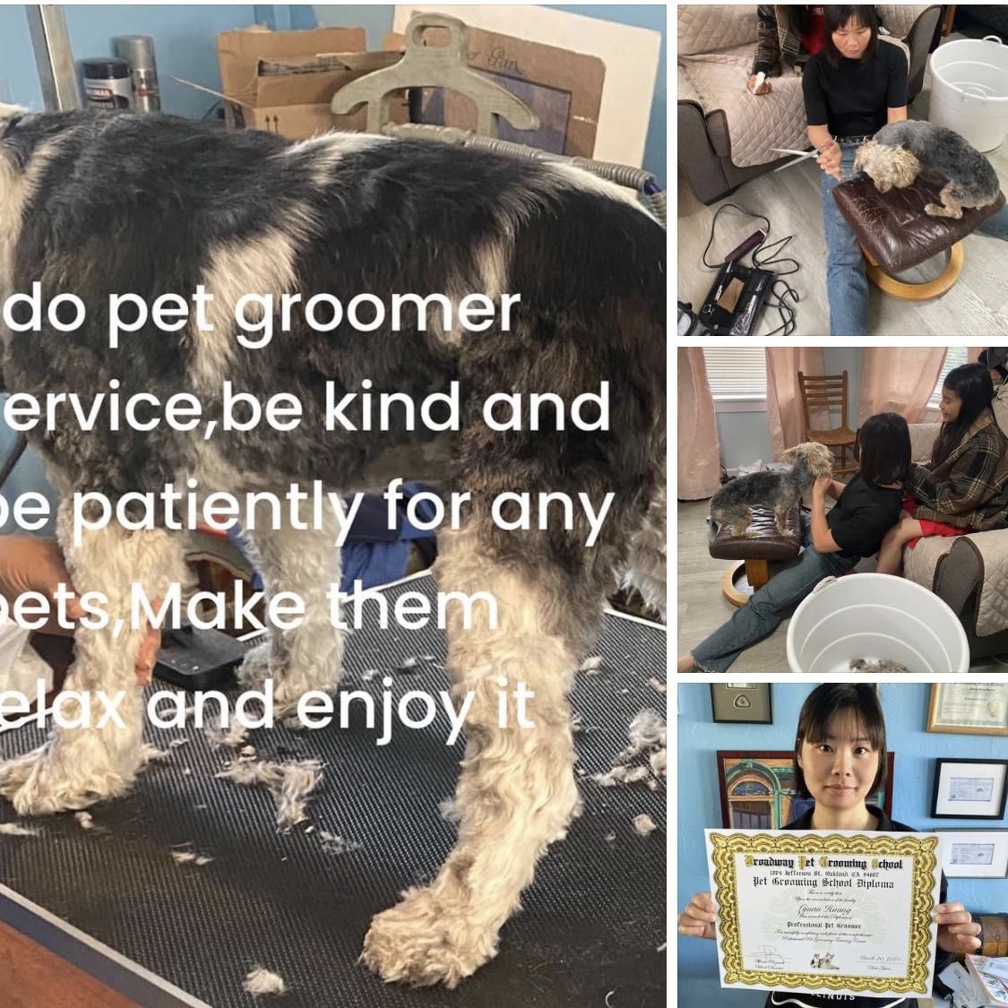 L&M Pet grooming, 1520 18th Ave, Oakland, 94606