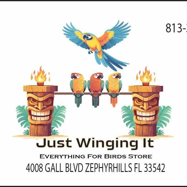 just winging it zhills llc, 4008 Gall Blvd, Zephyrhills, 33542