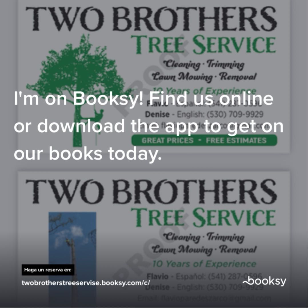 Two brothers tree servise, 416 Dorman Ave, Yuba City, 95991