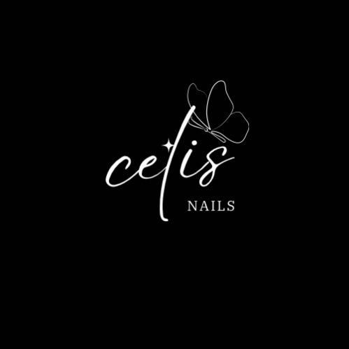 Celis Nails, schiller park, Chicago, 60176