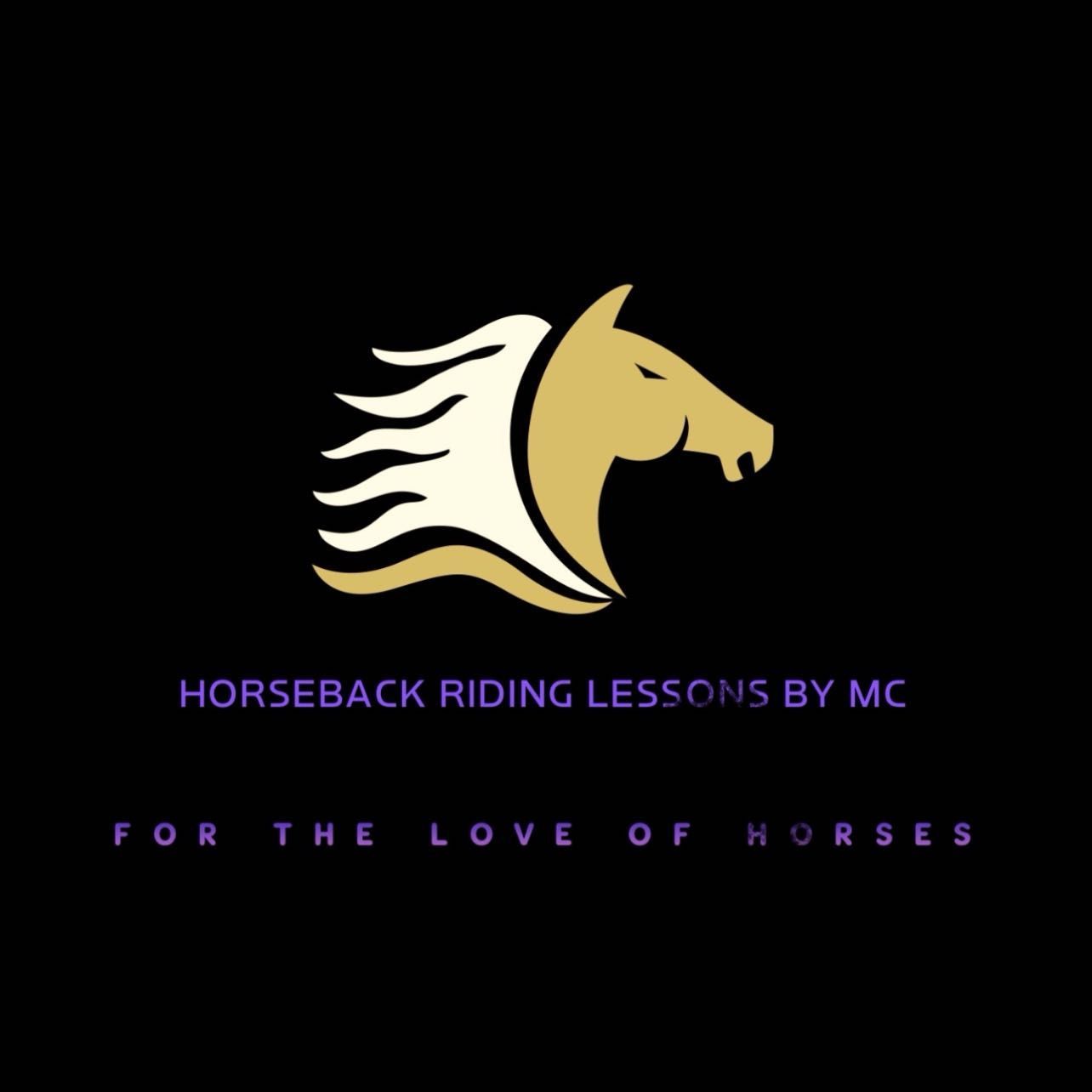 Horseback Riding Lessons By MC, 80 Tortoise St, Slidell, 70461