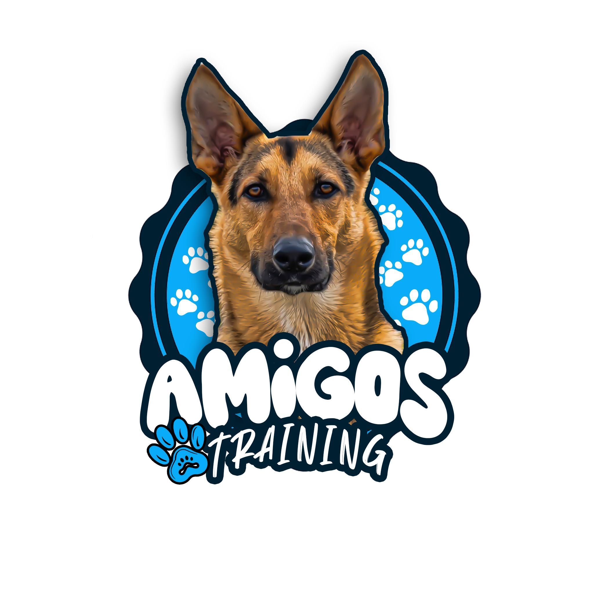 Amigos. Paw. Training, Northridge, Northridge 91324