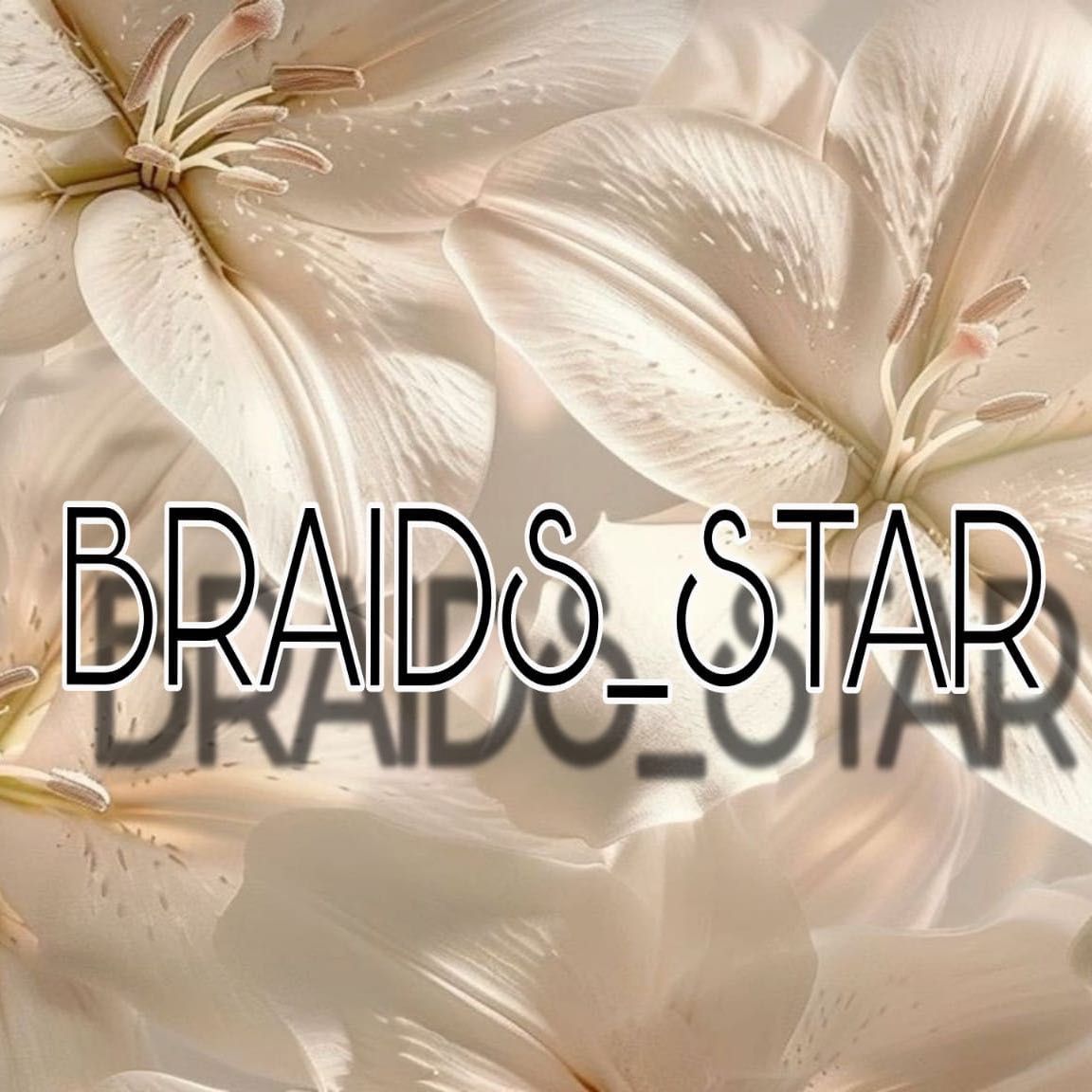 Braids_stars, 1027 Marisa Ln, Kissimmee, 34744